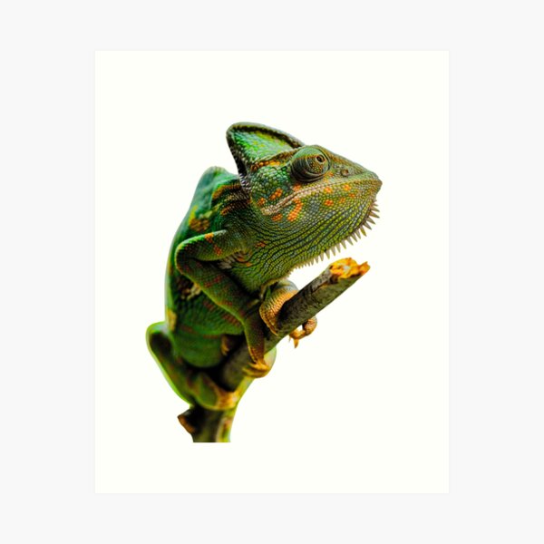 Item preview, Chameleon - Cute and Funny  designed and sold by BaldingSnail.
