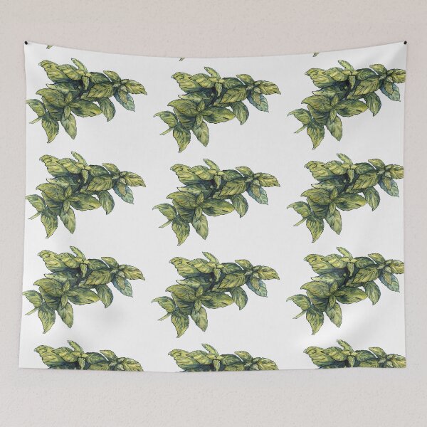 Item preview, Basil designed and sold by KarolinaSt.