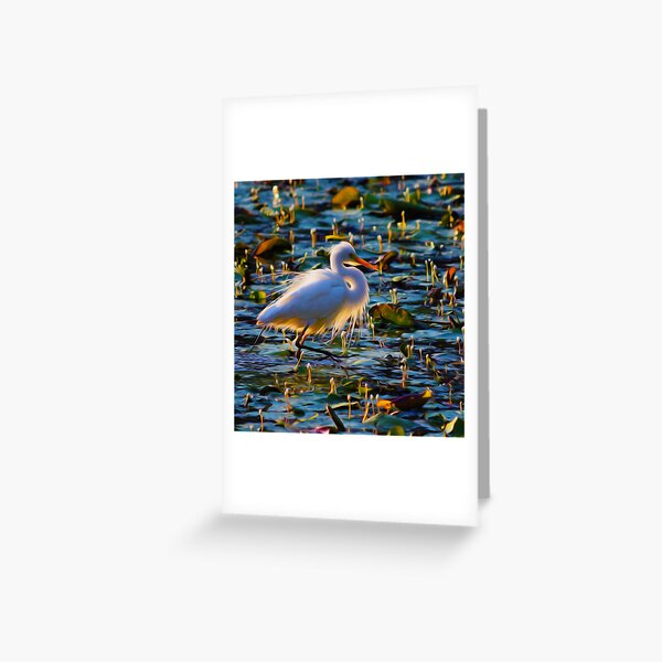 Egret Greeting Card
