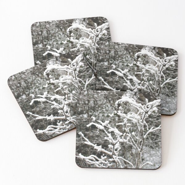 Item preview, Snow on fennel stalks in winter. designed and sold by wineandwords.