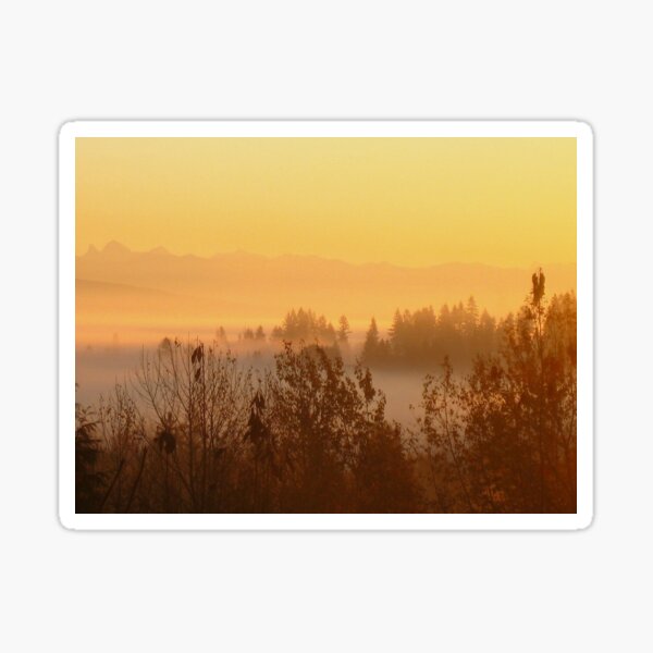 Foggy Morning Sticker
