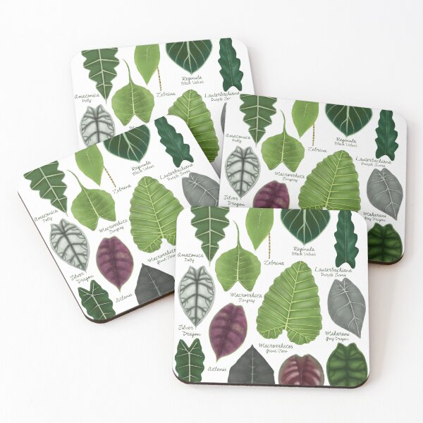 Item preview, Alocasia leaf species illustration & pattern designed and sold by Onyria Art.