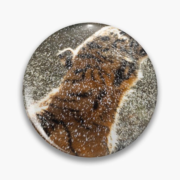 Item preview, Ooh that feels good - Sumatran Tiger shaking off after a swim designed and sold by Andrew Goodall.