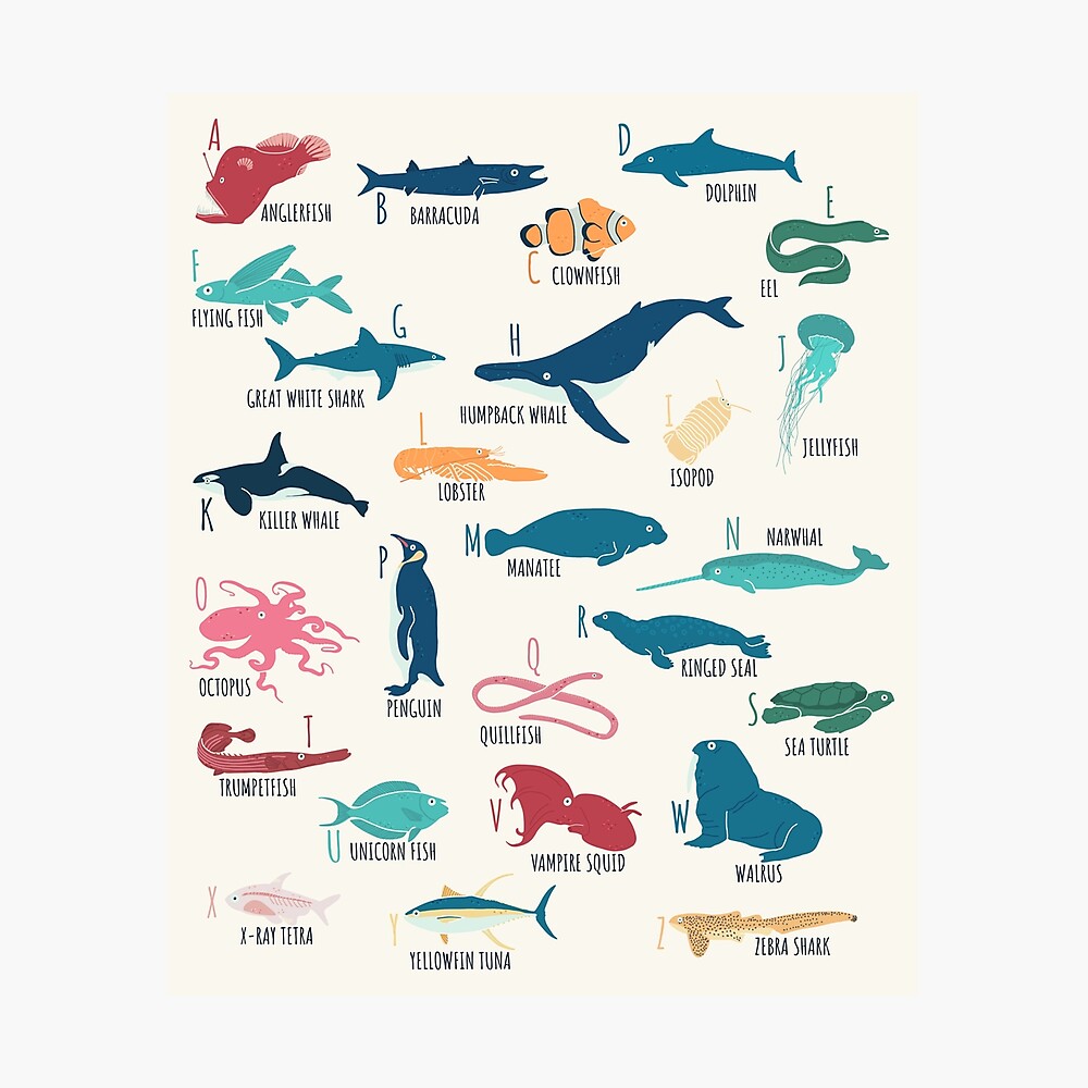 Cute Marine And Ocean Animals Alphabet For Marine Biology Gift