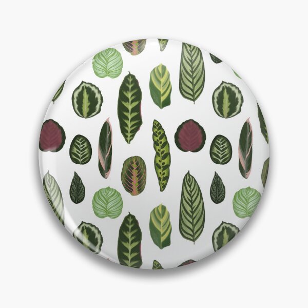 Item preview, Marantaceae prayer plants species illustration and pattern designed and sold by Onyria Art.