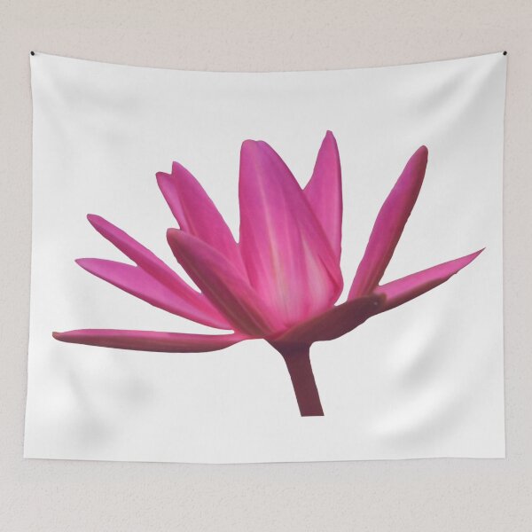 Item preview, Beautiful Big Lotus Flower-minimal designed and sold by NikitaAg.