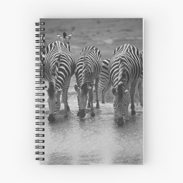Item preview, drinking zebras designed and sold by Antonio Cirrincione.