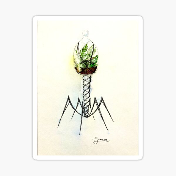 Item preview, Phagenterrarium designed and sold by Jellie.
