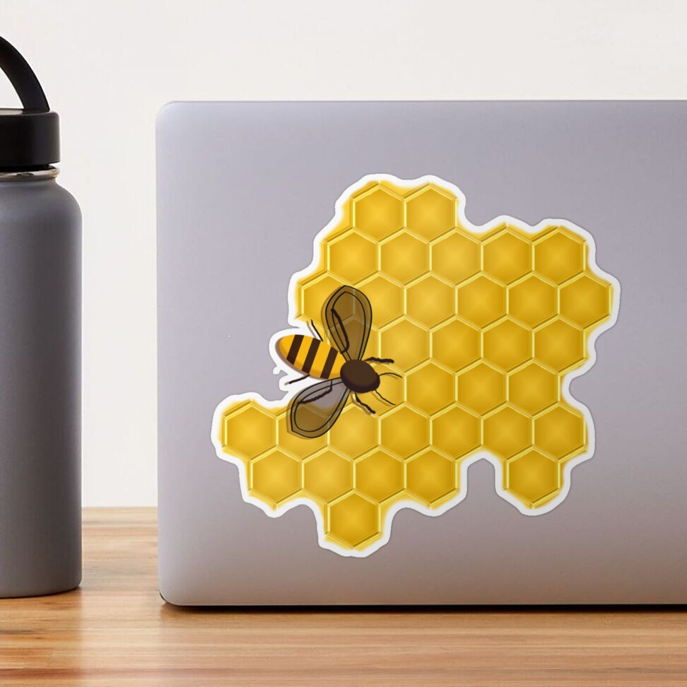 Everything you need to know about honeycomb – Smiley Honey