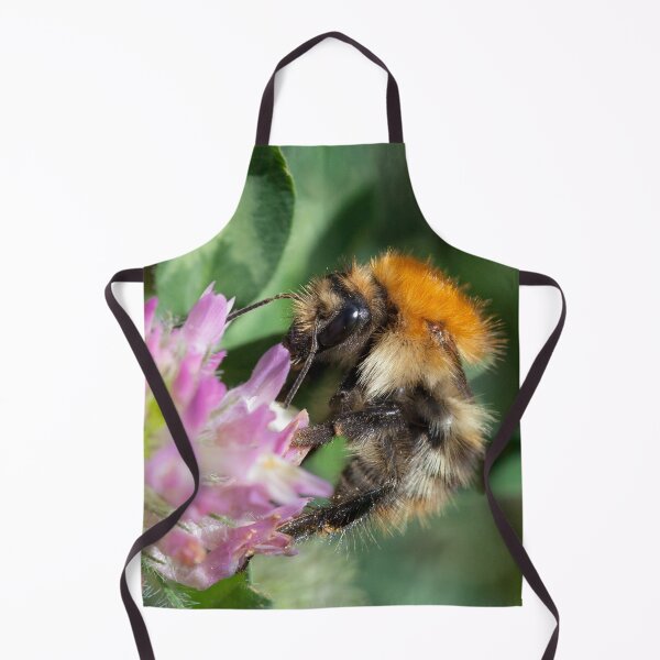 Item preview, Common Carder Bee designed and sold by heidipics.