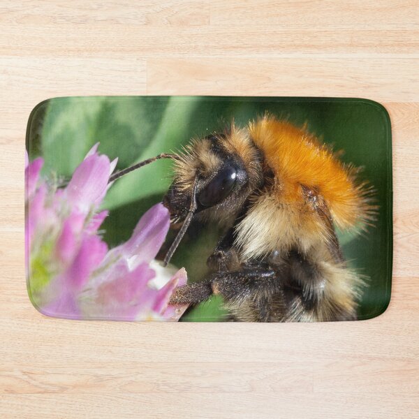 Item preview, Common Carder Bee designed and sold by heidipics.