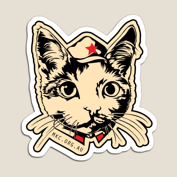 Kitten Squidgy - Classic Magnet