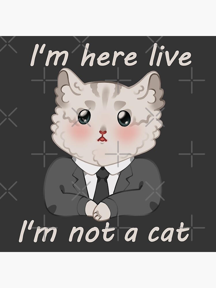 "lawyer cat meme" Poster for Sale by Gukica Redbubble