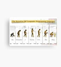 Computer Programming Canvas Print