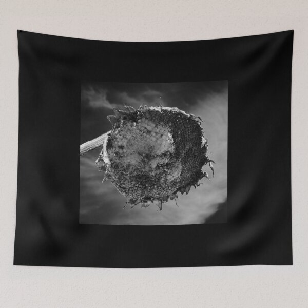 Item preview, Black sun here we come designed and sold by Jouko Lehto Photography.
