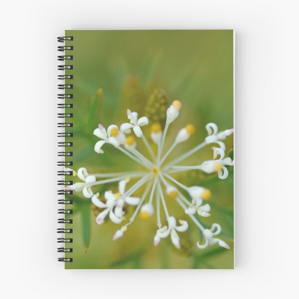 Item preview, Stellar Performer designed and sold by metriognome.