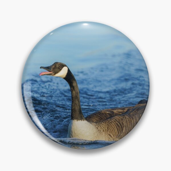 Item preview, Canada Goose Sticking Out His Tongue designed and sold by rawshutterbug.