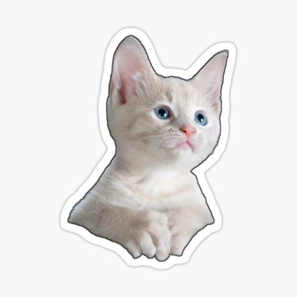 Vista previa del artículo con la obra «Gatito blanco con ojos azules», diseñado y vendido por sasijaya.