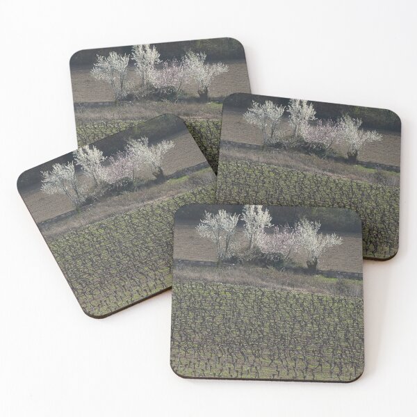 Item preview, Nearly spring. designed and sold by Paul Pasco.
