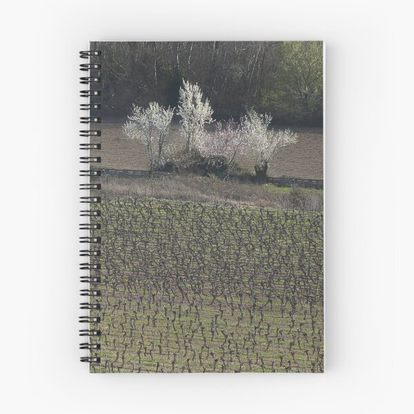 Item preview, Nearly spring. designed and sold by Paul Pasco.