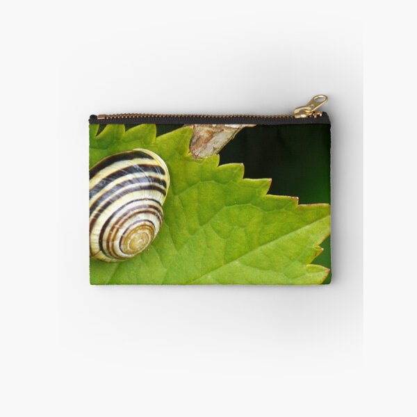 Item preview, A Shiny Snail..........Dorset UK designed and sold by lynn carter.