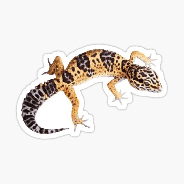 Item preview, Common Leopard Gecko designed and sold by Pulptures.