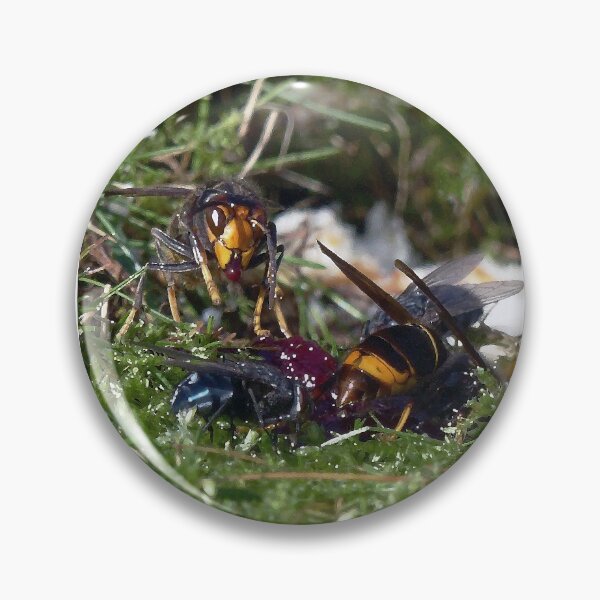 Item preview, r1396/ new finition 2021 peinture - Red Wasp (c)(t)  01 by Olao-Olvia / Okaio Créations  designed and sold by o.okaïo.