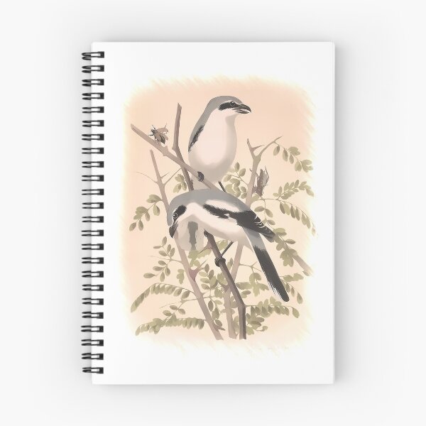 Item preview, BIRDS VINTAGE - Averla maggiore or Lanius excubitor designed and sold by Perfomance.