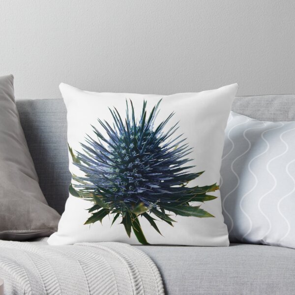Item preview, Studio lit blue thistle flower against pure white. designed and sold by John-Shep-Photo.