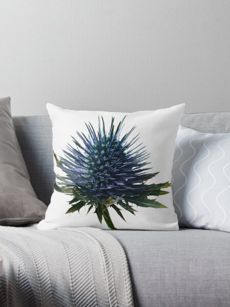 Item preview, Studio lit blue thistle flower against pure white. designed and sold by John-Shep-Photo.