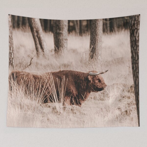 Item preview, Scottish Highlander in the woods of Deelerwoud in the Netherlands designed and sold by Melissa Peltenburg.