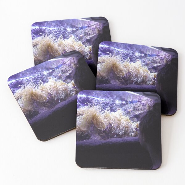 Item preview, Glowy Anemones designed and sold by Imashanya.