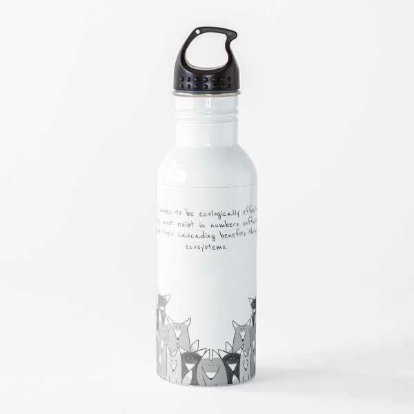 Water Bottle