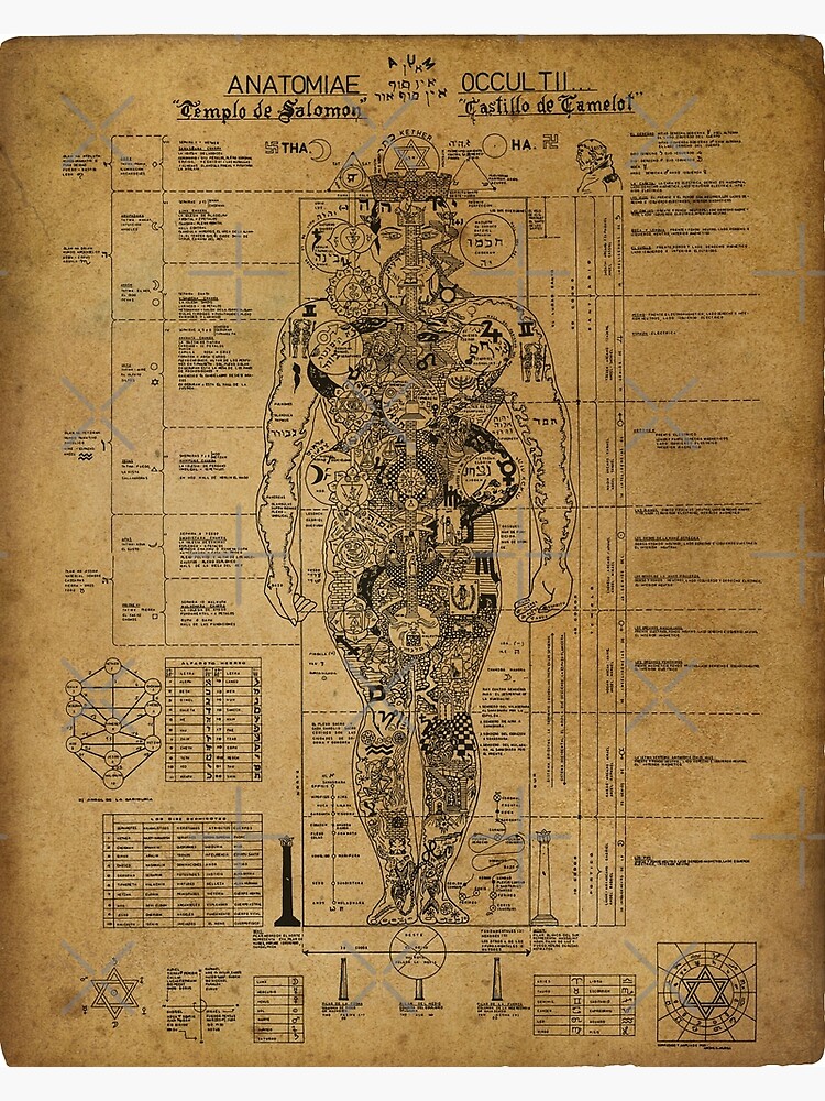 Occult Anatomy Anatomiae Occultii esoteric diagram Premium Matte ...