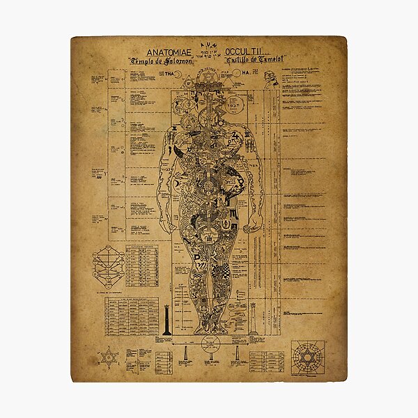 Occult Anatomy Anatomiae Occultii esoteric diagram Photographic Print
