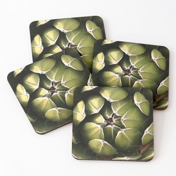 Item preview, Agave leaves designed and sold by Esther  Moliné.