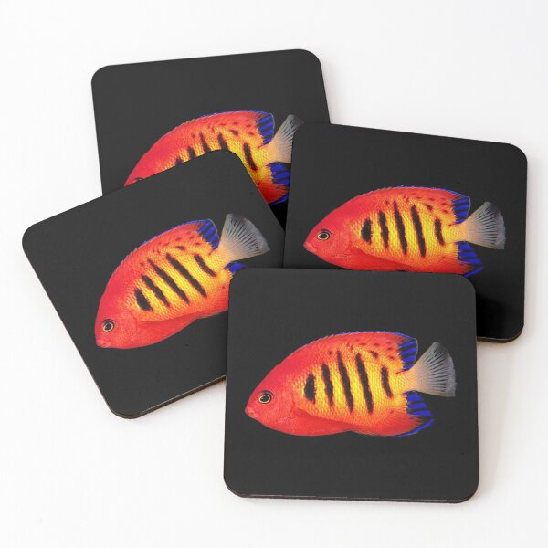 Item preview, Tropical Fish designed and sold by DoodleDashCollective.