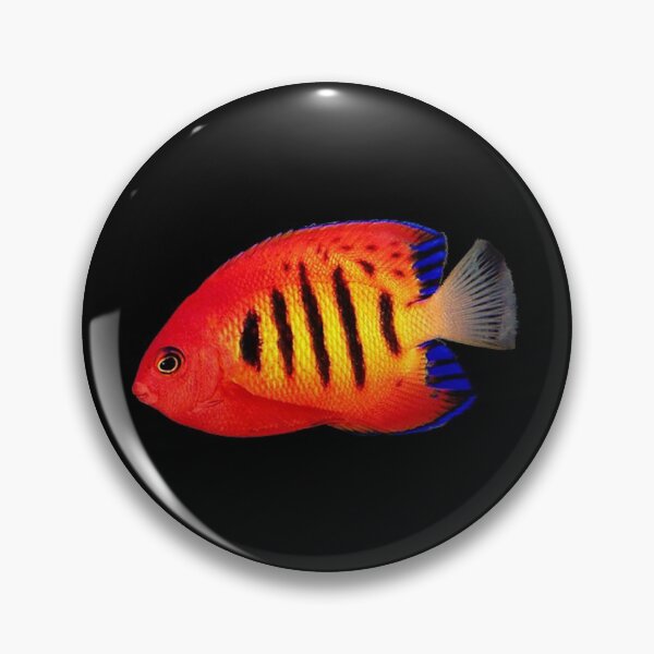 Item preview, Tropical Fish designed and sold by DoodleDashCollective.