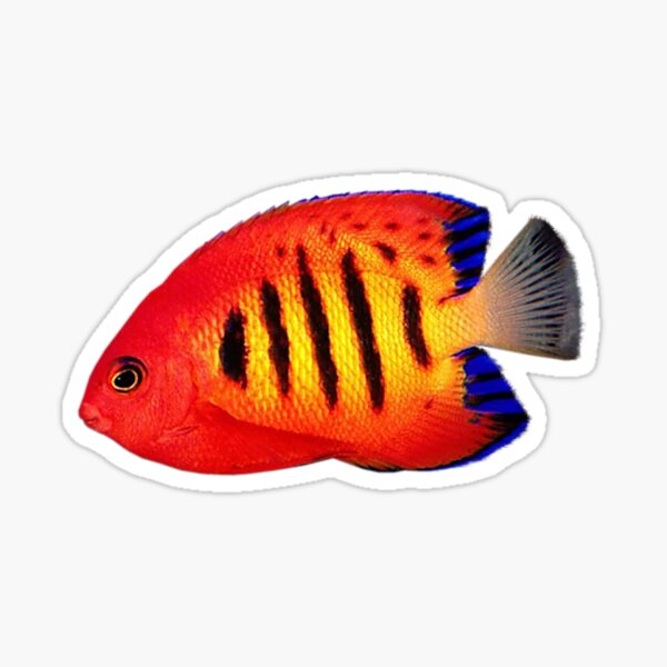 Item preview, Tropical Fish designed and sold by DoodleDashCollective.
