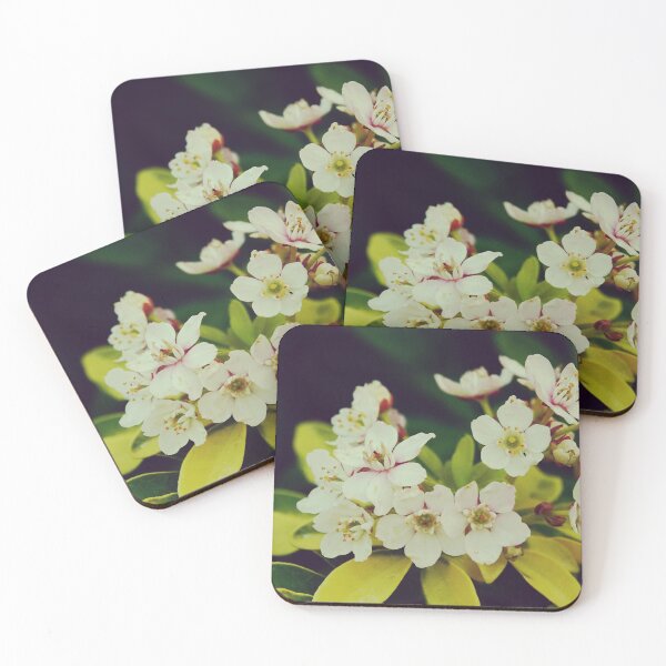Item preview, Jasmine Chubushnik Flower Garden designed and sold by CarolinaReina.