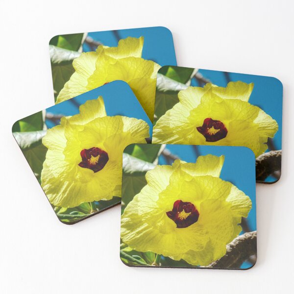 Item preview, Coast Cottonwood designed and sold by SACRED NATURE DESIGNS.
