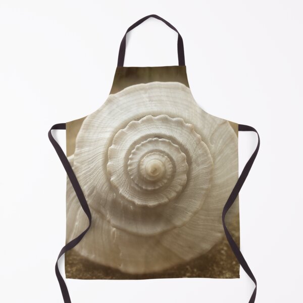 Item preview, Seashell Dream designed and sold by Autumn Seas Photography.