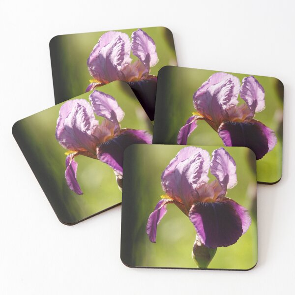 Item preview, Iris through the railings designed and sold by Esther  Moliné.