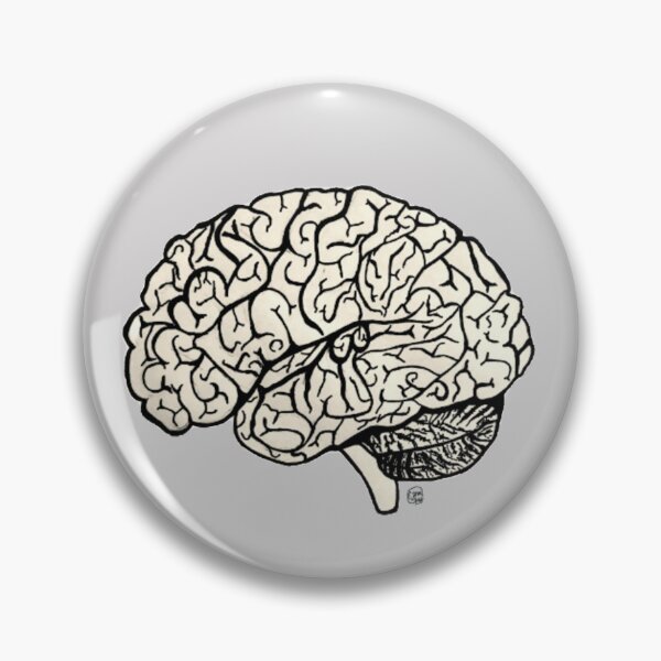 Item preview, Brain  designed and sold by Arte Del Cuerpo Humano.