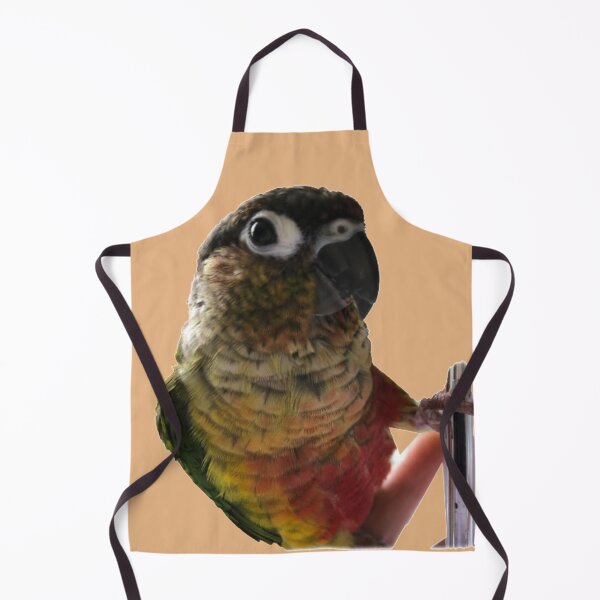 Item preview, Green Cheek Conure | Playing with parakeet | Conure parrot designed and sold by TatianaLG.