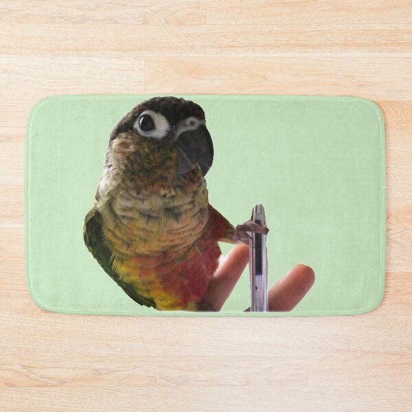Item preview, Green Cheek Conure | Playing with parakeet | Conure parrot designed and sold by TatianaLG.