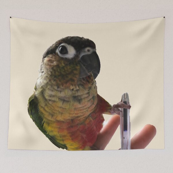 Item preview, Green Cheek Conure | Playing with parakeet | Conure parrot designed and sold by TatianaLG.