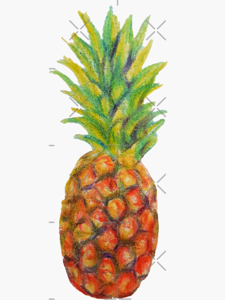 Pineapple Drawing Images – Browse 153,164 Stock Photos, Vectors, and Video  | Adobe Stock