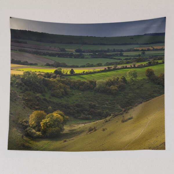 Aperçu de l'œuvre Grandfathers Bottom at Butser Hill créée et vendue par heidipics.