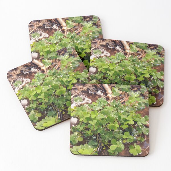 Item preview, Clover Patch designed and sold by naomi-jgs.